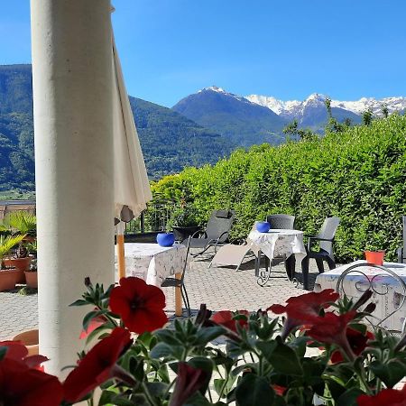 B&B Il Grappolo Bianzone Exterior photo