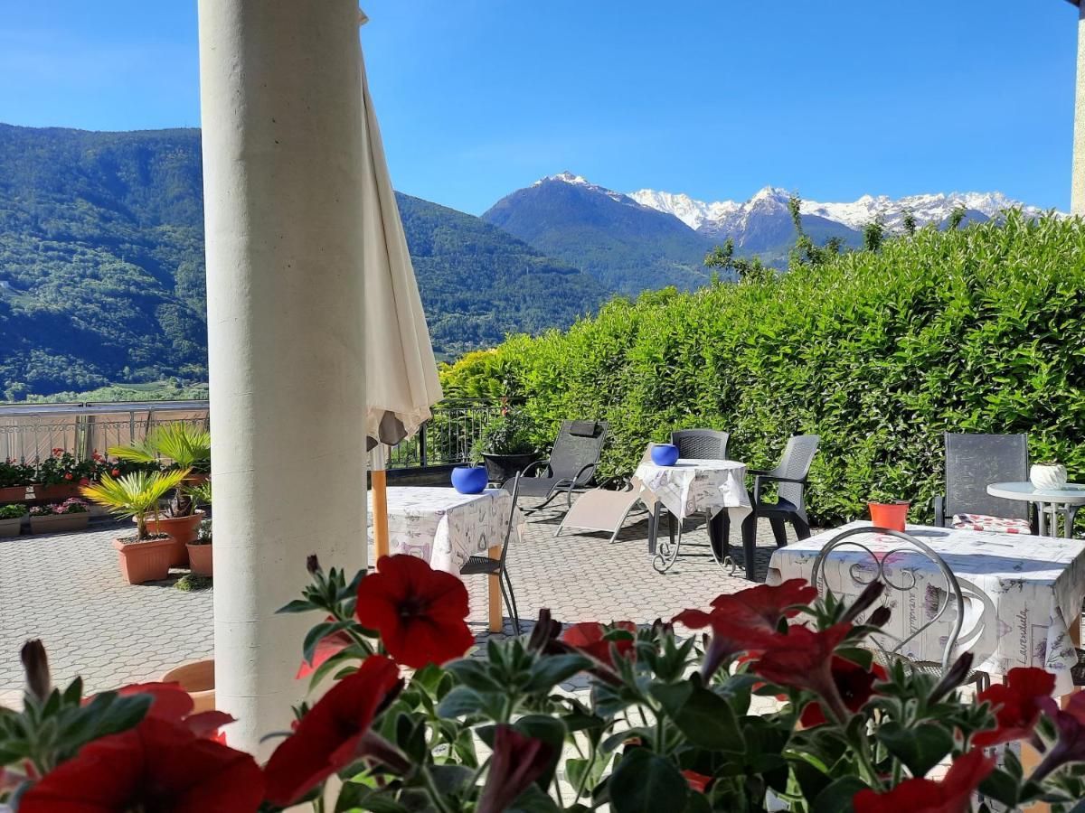 B&B Il Grappolo Bianzone Exterior photo